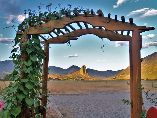 Garden Trellis Installation